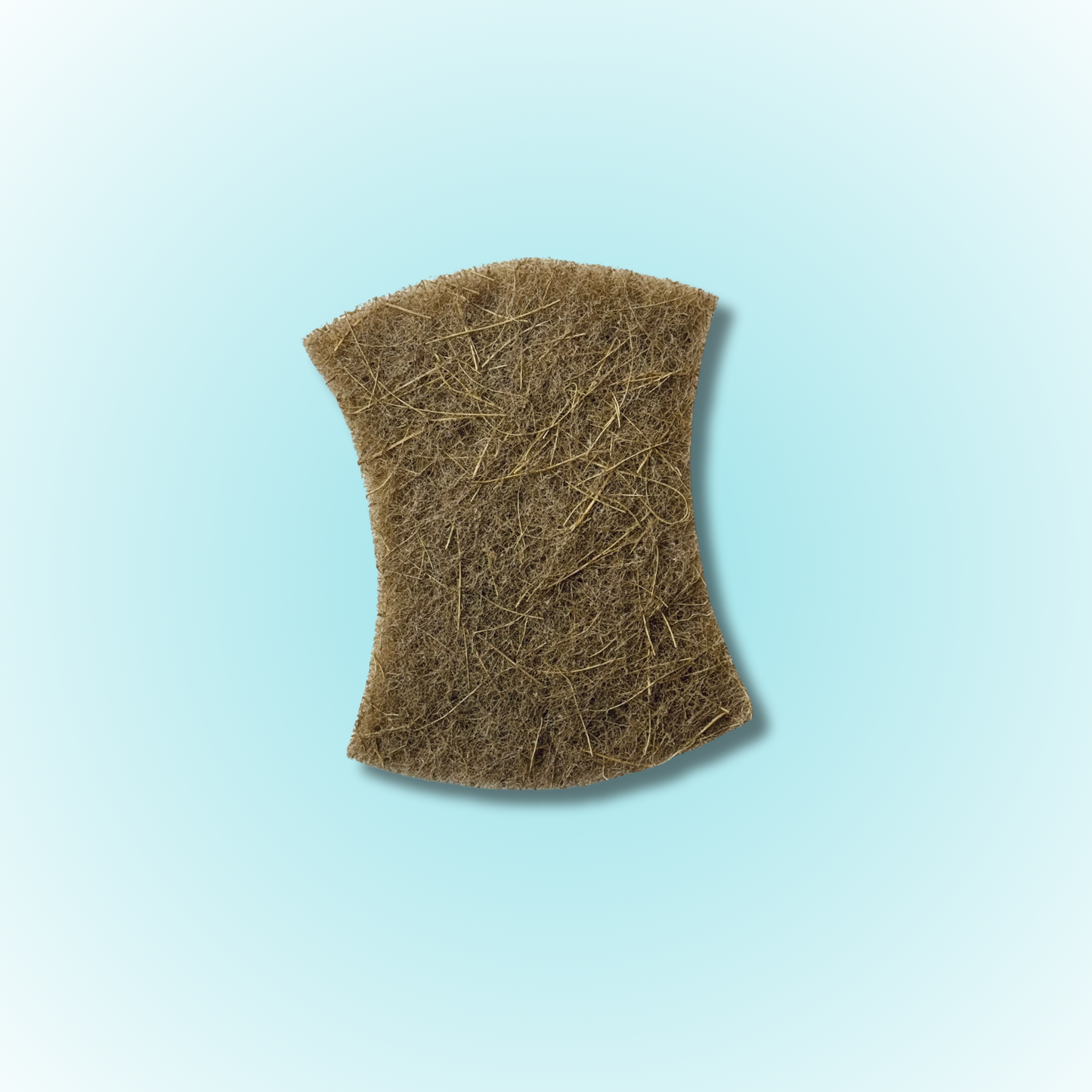 Scrubbing Dish Sponge