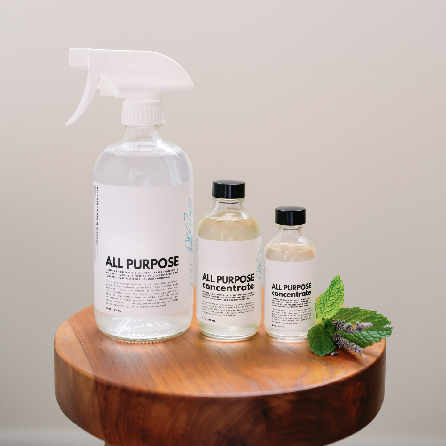 ALL PURPOSE CLEANER - value kit