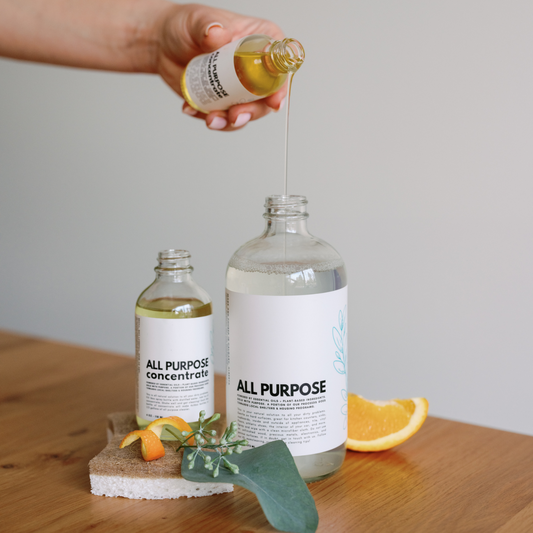 ALL PURPOSE CLEANER - value kit